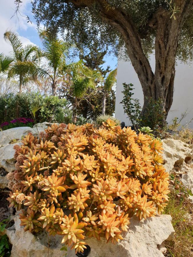 Trenasse Guest House Marsala Bagian luar foto